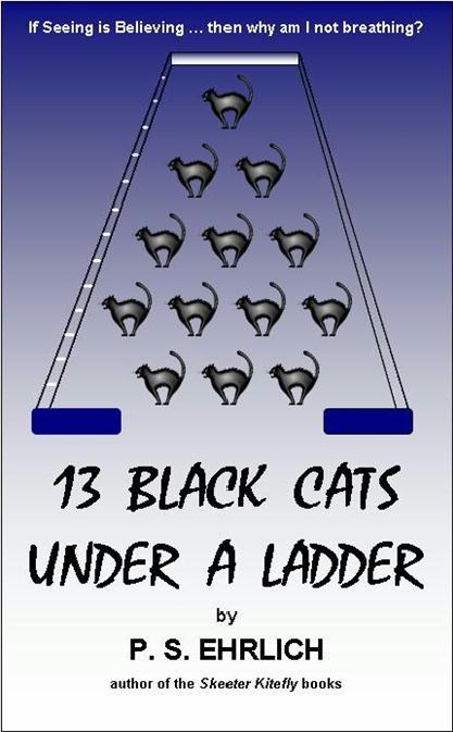 13 Black Cats Under a Ladder Book Cover