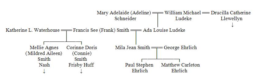 Fine Lineage Chapter L 4: Ada Ick