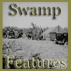 Swamp Features